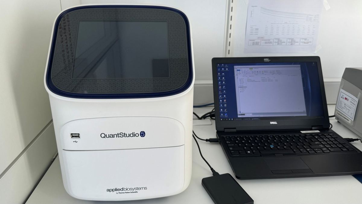 QuantStudio 5 — PCR a tiempo real