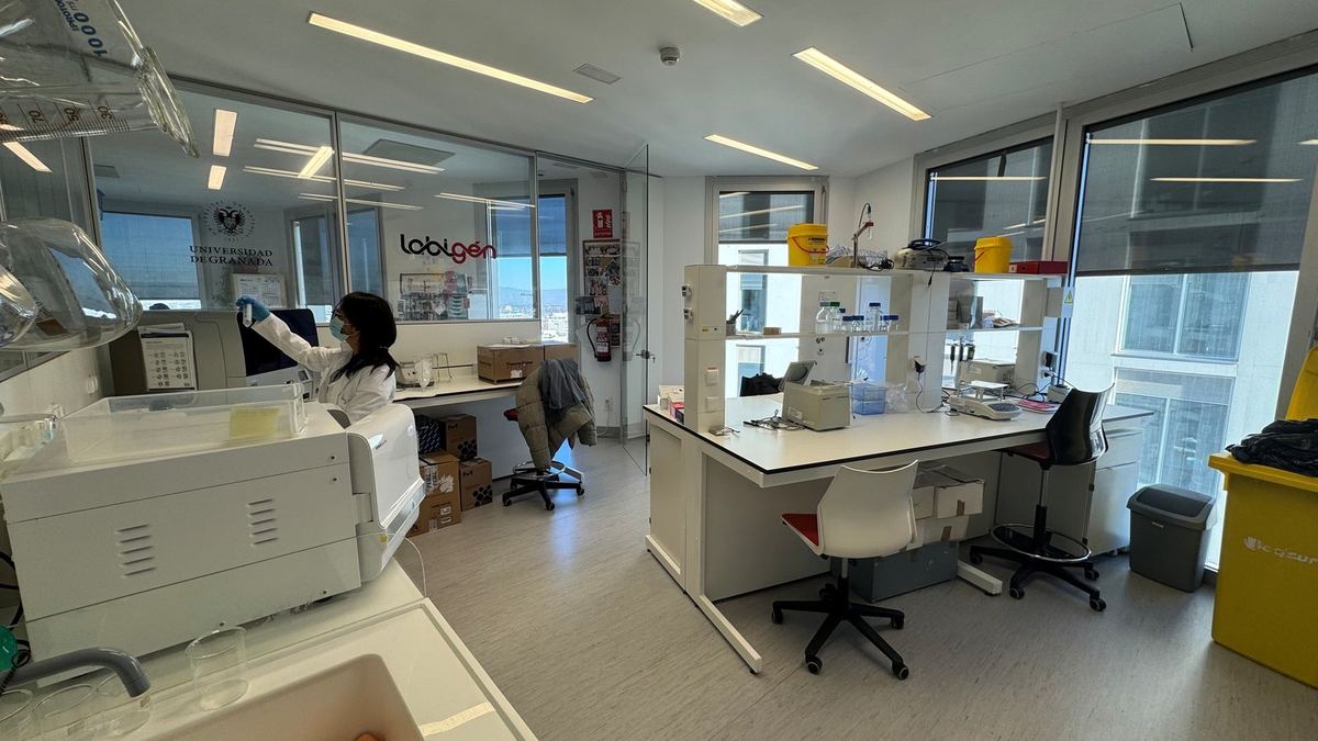 Vista del laboratorio general
